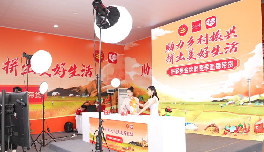 多多丰收馆农产品上行_拼多多金秋消费季_2025年拼多多互赞群