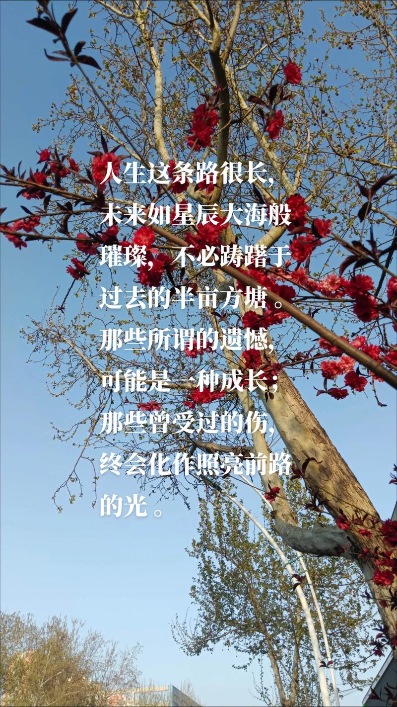 熬过困难_小红书高赞文案_坚持自我