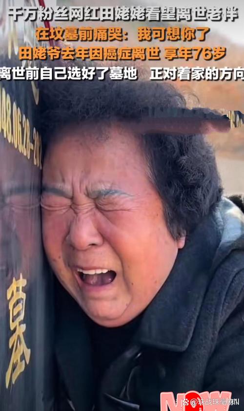 中老年网红内容创作逻辑_中老年网红爆火原因_1元涨100粉快手