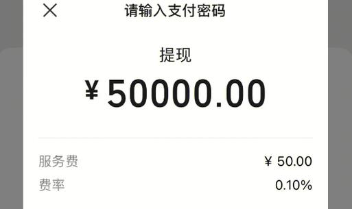 抖音钱包提现到银行卡时间_抖音提现银行卡到账速度_抖音业务下单24小时秒到账