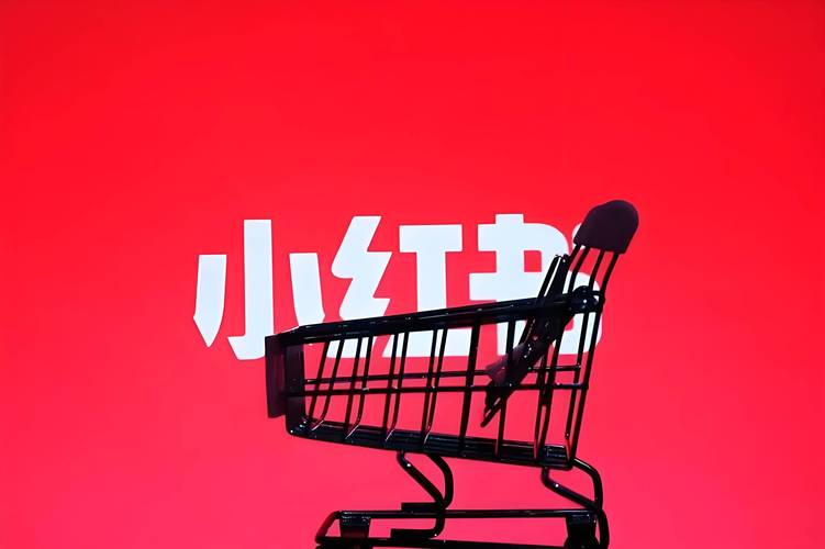 小红书业务24小时免费下单平台_小红书市集电商入口_小红书生活方式电商战略