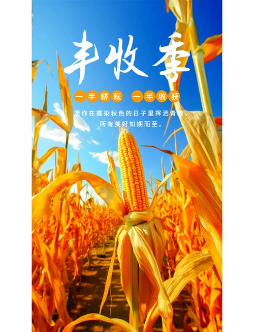 中国农民丰收节 拼多多 直播带货_拼多多助力网站在线刷是真的吗